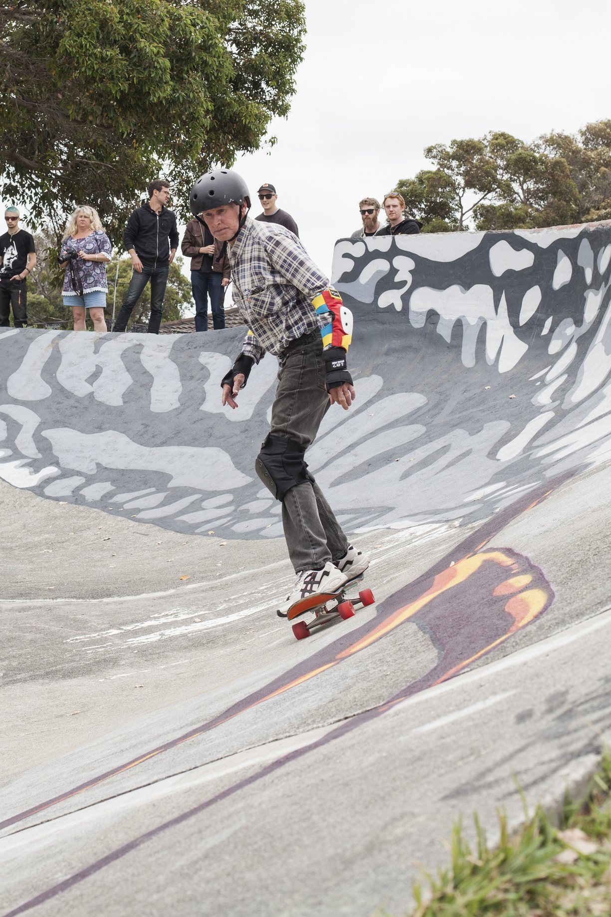 Albany New Park Skatpark
