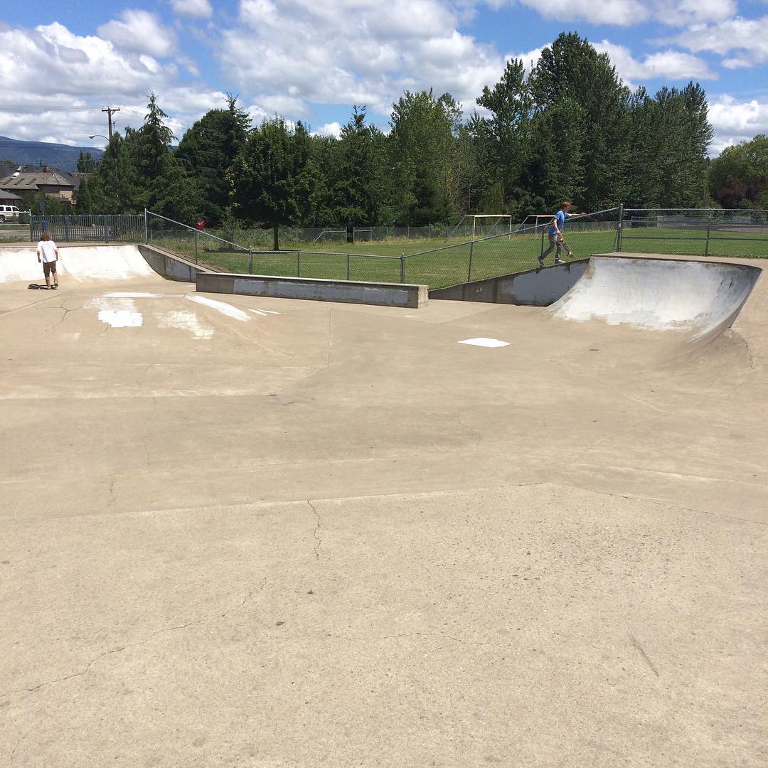 Cal Young Skatepark