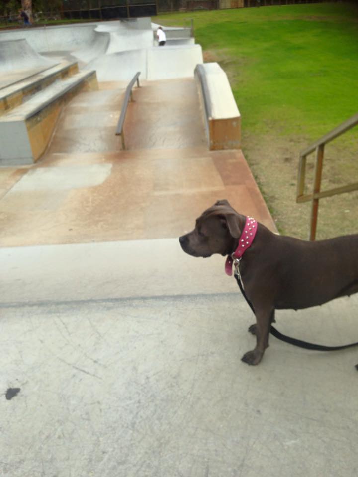 Carine Skatepark
