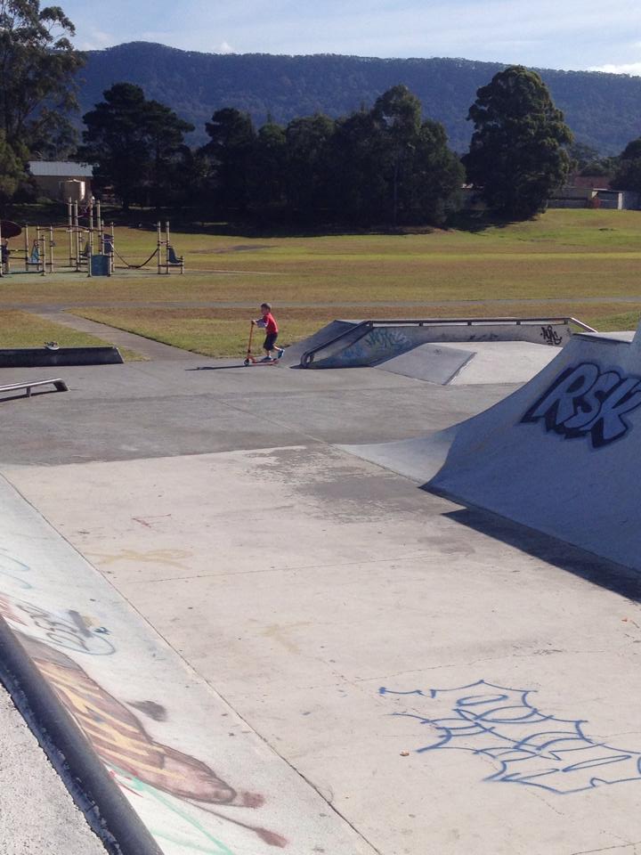 Dapto skate park