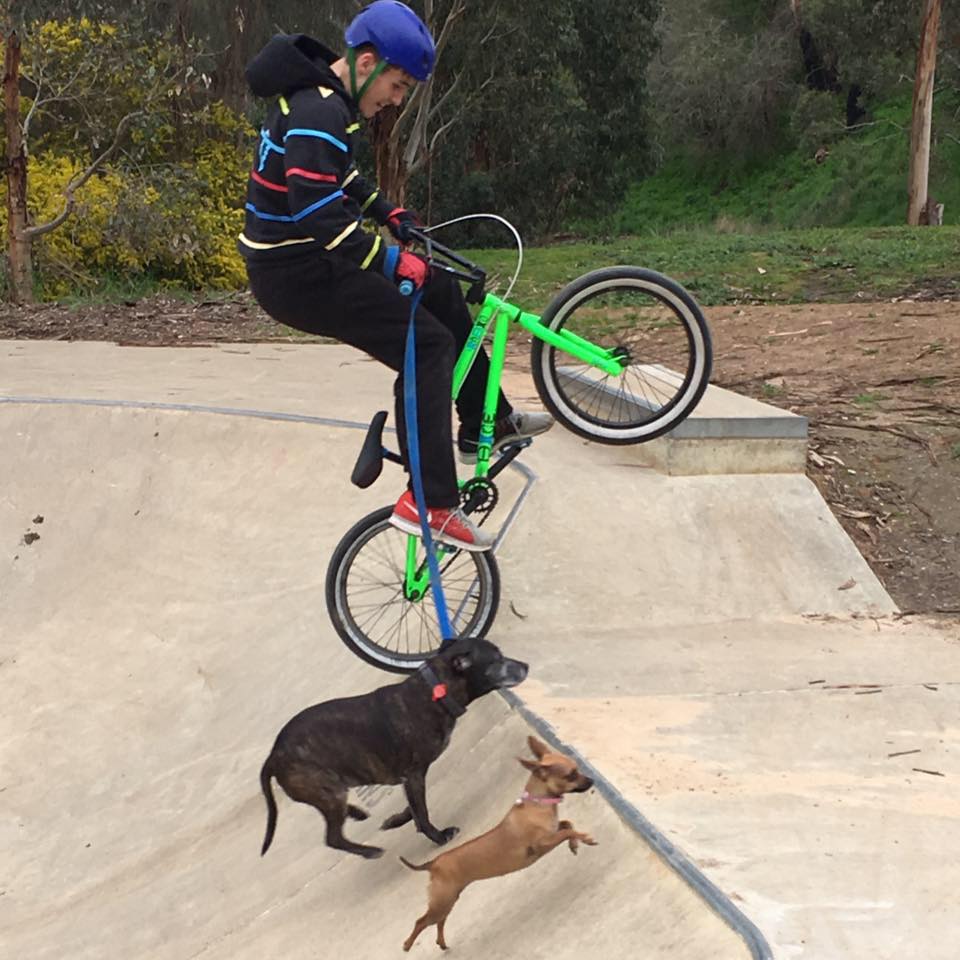Gumeracha Skatepark