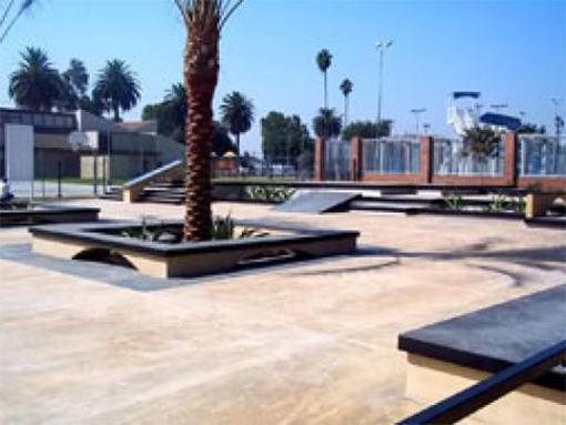 Jackie Tatum Skatepark