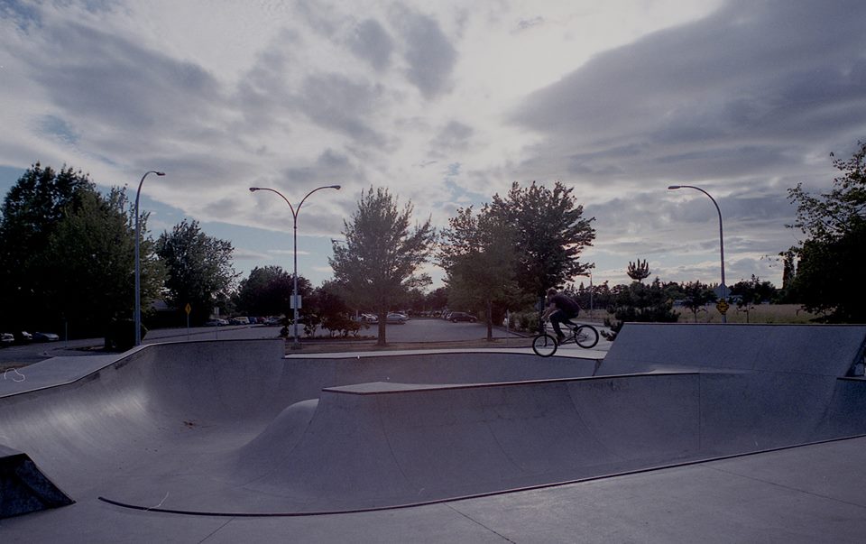 Ladner Skatepark