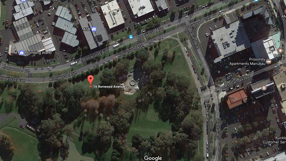 Manukau Skatepark