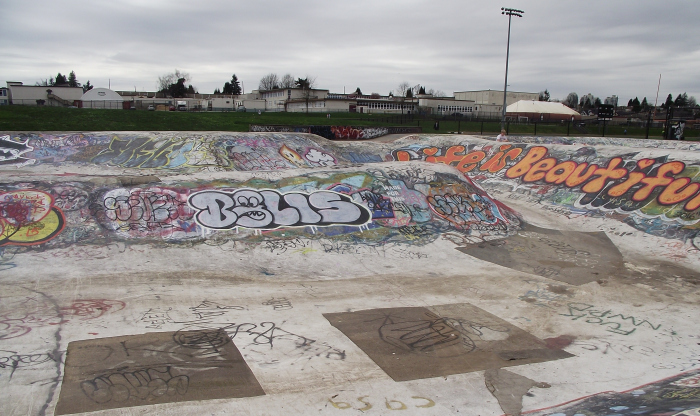 Mercer Stadium Skatepark