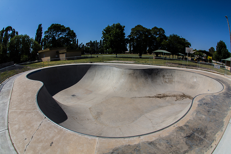 Molong Bowl