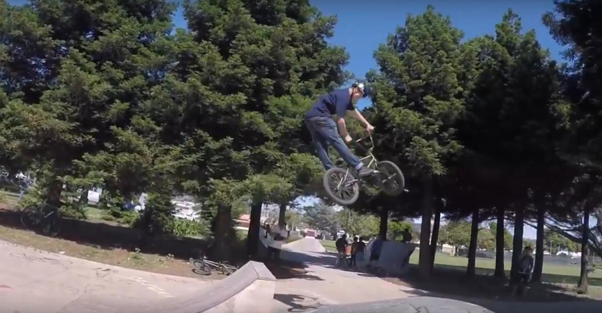 Nichol Skatepark