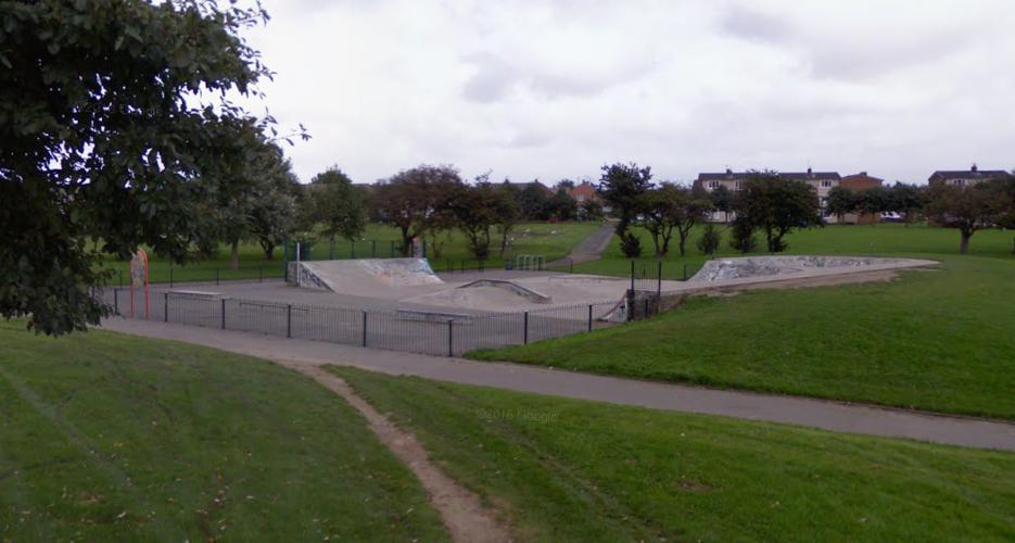 Oliver Henderson Park Skatepark