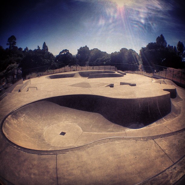 Piedmont Skatepark