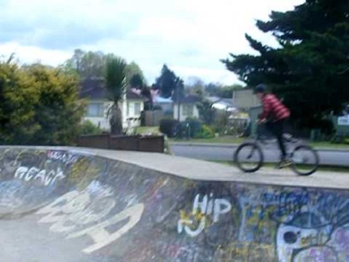 Putaruru Bowl Skatepark