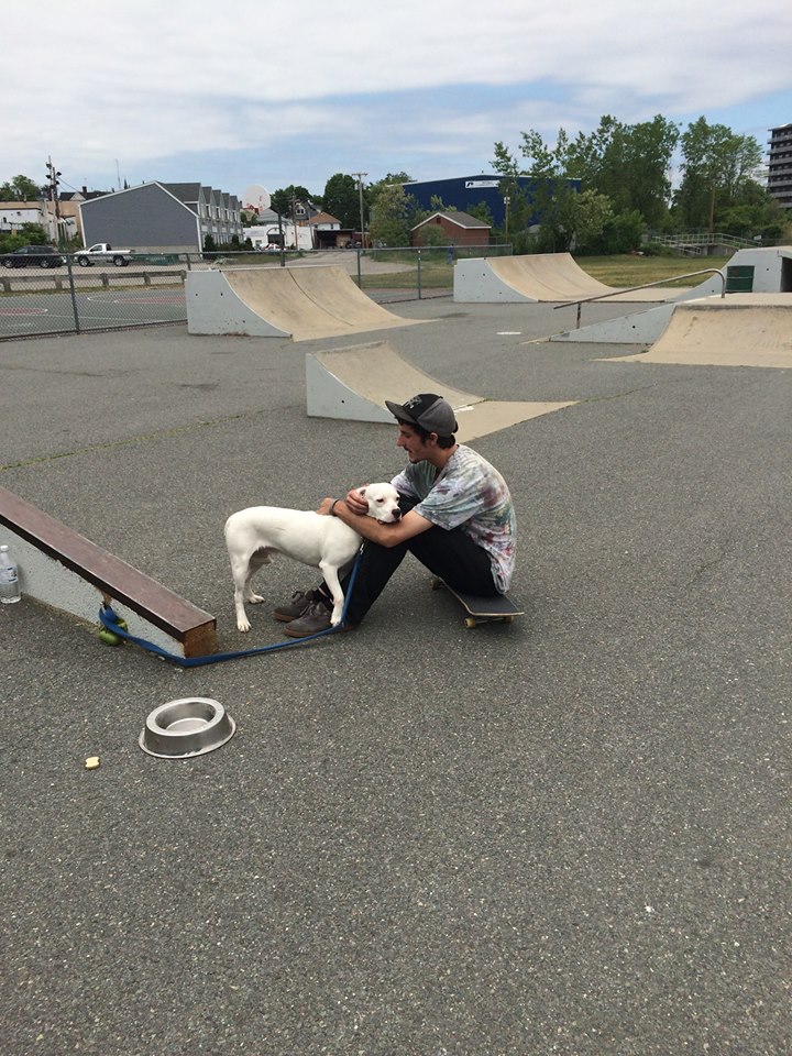 Quincy Skatepark