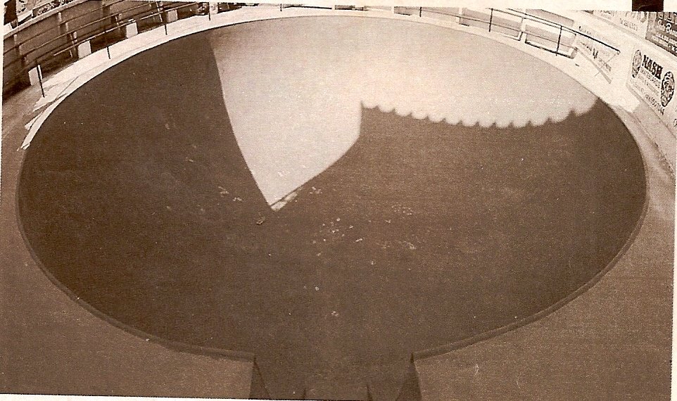 Raticida Park Skatepark