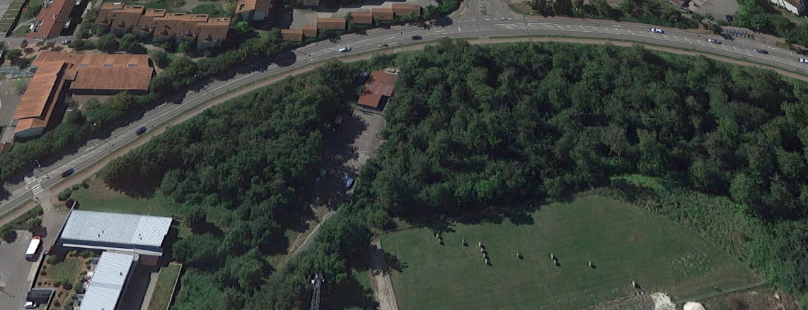 Reutenen Skatepark