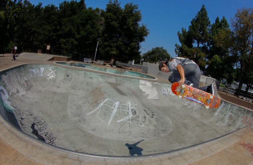 Roosevelt Park Skatepark