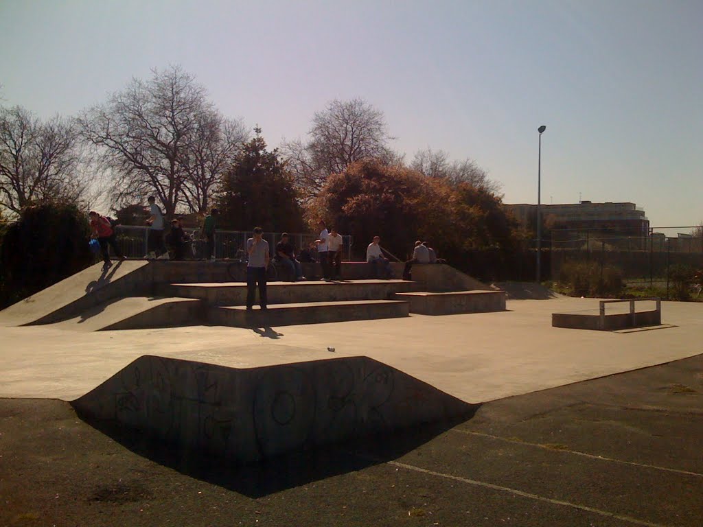 Salt Hill Skatepark