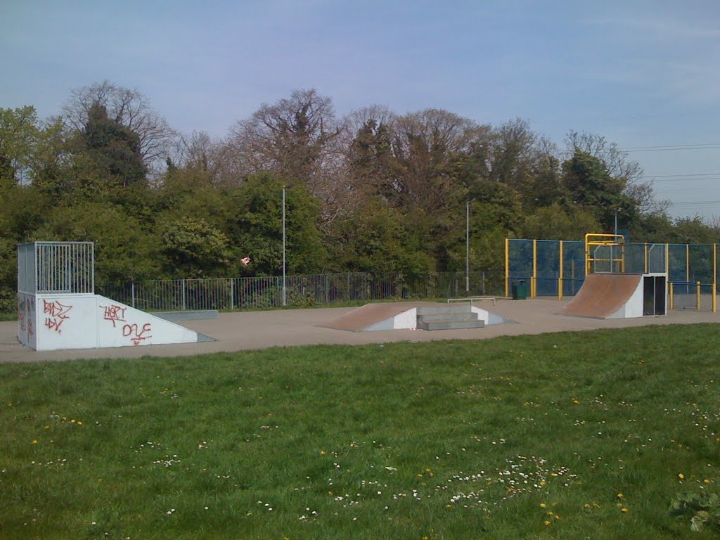 Spider Park Skatepark