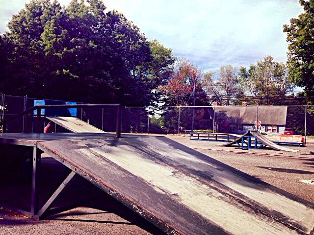 Steele Waves Skatepark