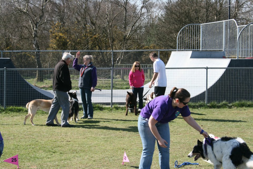 Tadley Skatepark