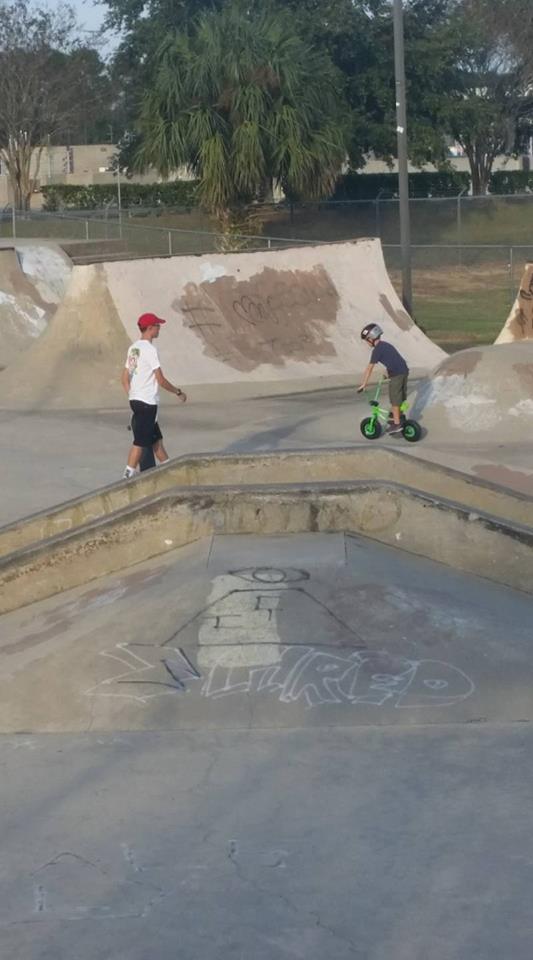 Tavares Skatepark