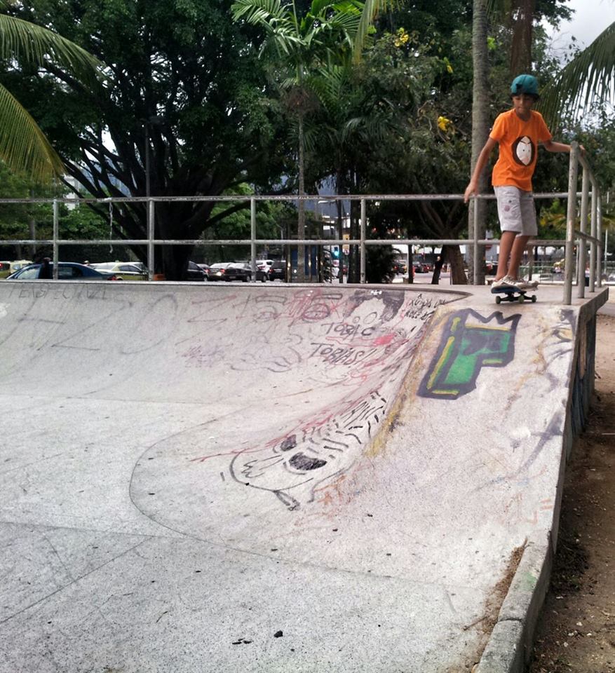 The Rio De Janeiro Skate Park