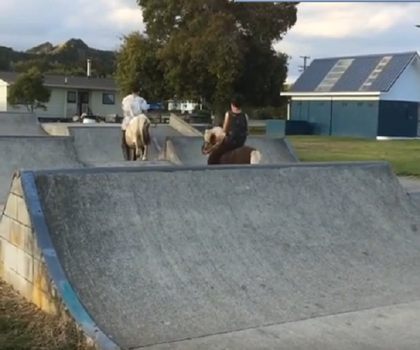 Tolaga Bay Skatepark
