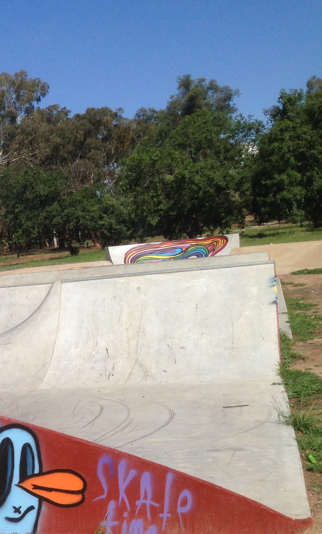 Webb Park Skatepark